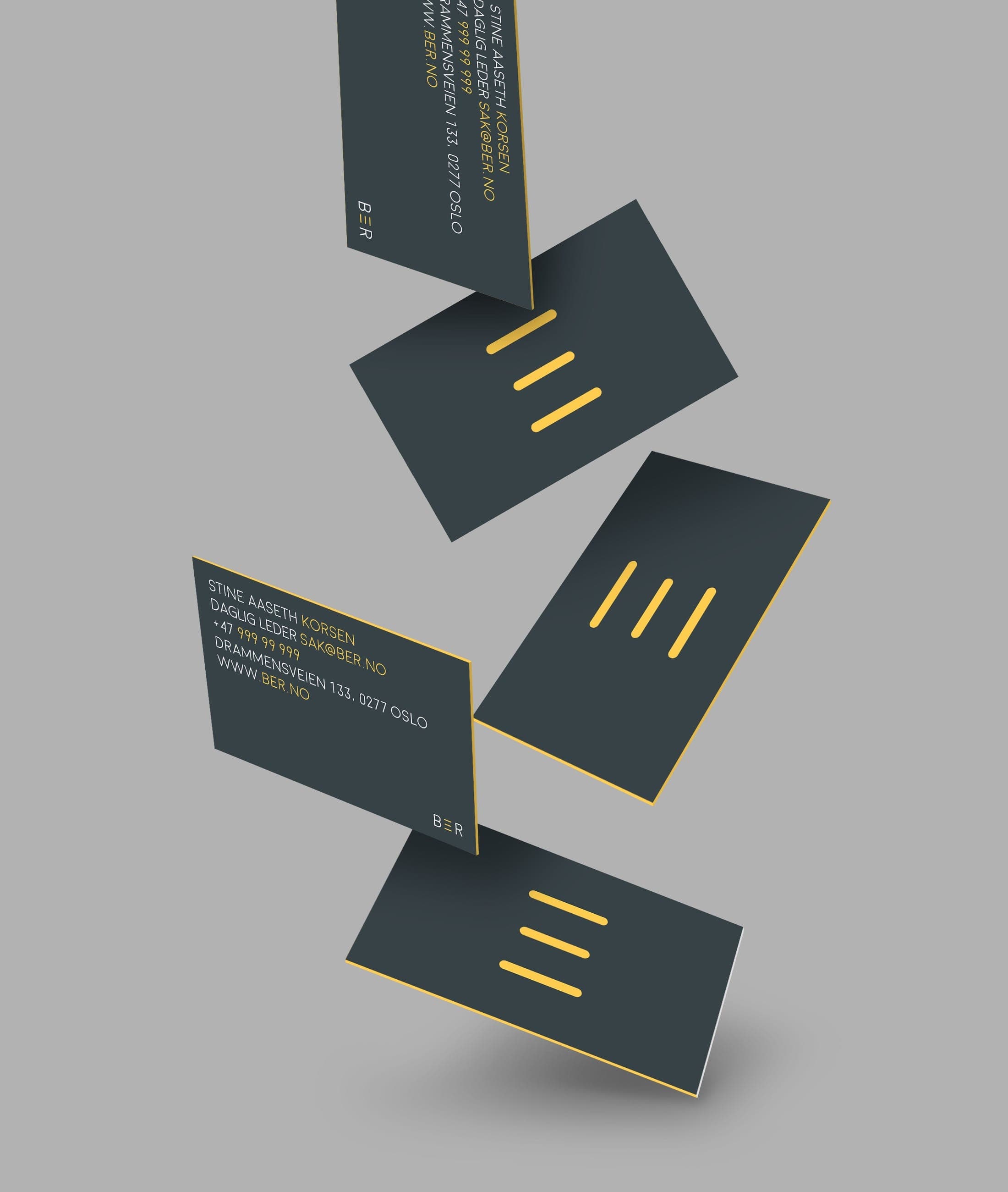 Portfolio image 13